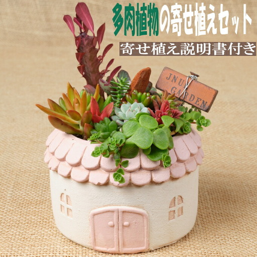多肉植物の寄せ植えセット(メゾンラウンドポット)丸屋根