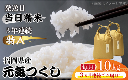 【全3回定期便】福岡県産【特A】評価のお米「元気つくし」5kg×2袋 [10kg] [白米] [ABDF115]