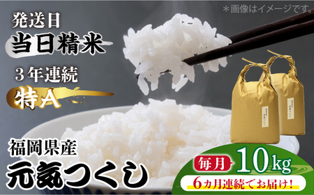 【全6回定期便】福岡県産【特A】評価のお米「元気つくし」5kg×2袋 [10kg] [白米] [ABDF116]