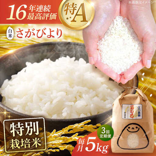 【3回定期便】 さがびより 白米 5kg 米定期便 [UBF025]