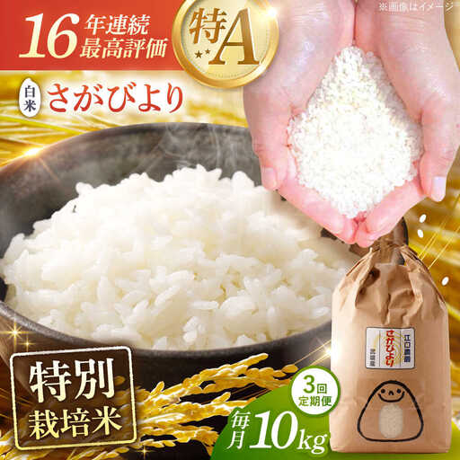 【3回定期便】 さがびより 白米 10kg 米定期便 [UBF027]