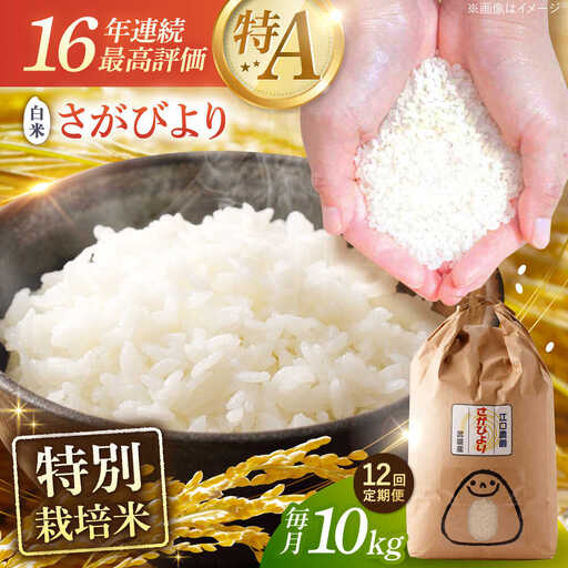 【12回定期便】特別栽培米 さがびより 白米 10kg 配送前精米/江口農園[UBF029]