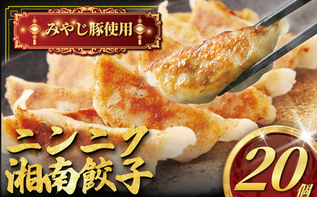 ブランド豚  にんにく 20個 餃子