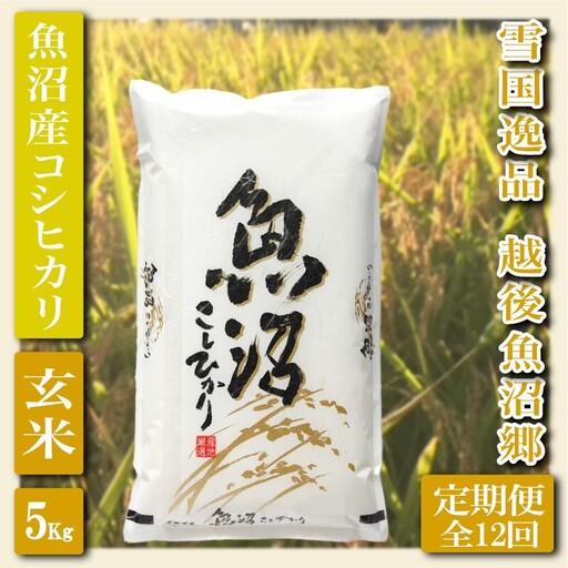 【定期便：雪国逸品 玄米5Kg×12ヶ月】越後魚沼郷 魚沼産コシヒカリ お米 ブランド米 銘柄米 ご飯 おにぎり お弁当 和食 産地直送 香り つや 粘り 