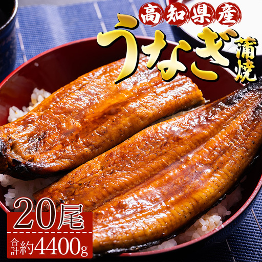 【 蒲焼き 】 うなぎ 20尾 計4400ｇ 鰻 ＜ 高知県 香南市 ＞ 蒲焼き ss-0038