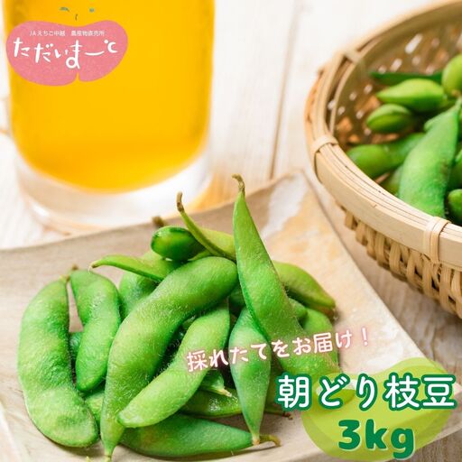 採れたてをお届け！朝どり枝豆 3kg（1kg×3袋）令和8年度 新潟県産 えだまめ JAえちご中越