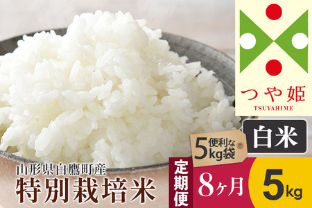 《定期便8ヶ月》【白米】つや姫 5kg×8回（特別栽培米）令和5年産 山形県産 しらたかのお米
