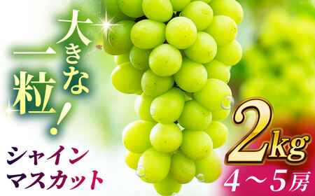 【2026年発送先行予約】 シャインマスカット 2kg(4～5房)【合同会社 社方園】ぶどう 大粒  熊本 期間限定  マスカット [ZBZ013]