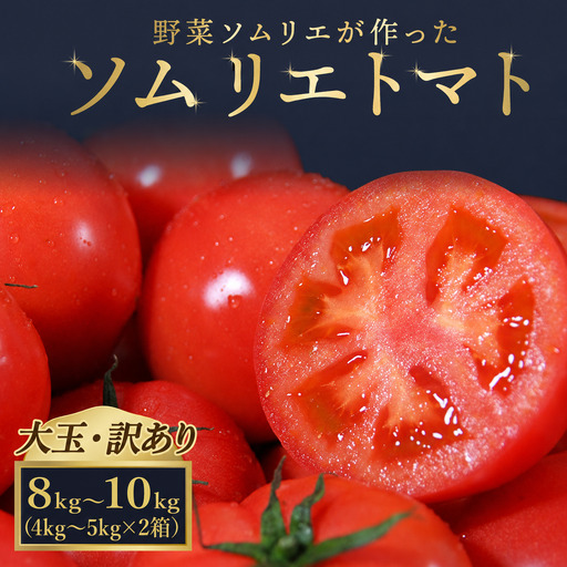[訳あり]大玉トマト 4kg〜5kg ×2|レッドアップ