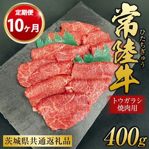 【定期便 10ヶ月】【希少部位】常陸牛トウガラシ焼肉用400g（茨城県共通返礼品 茨城県産）