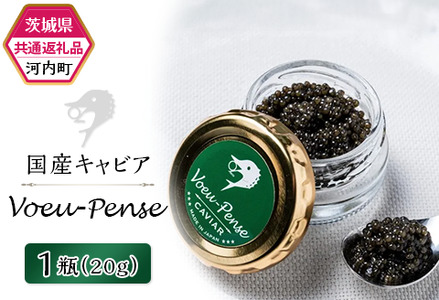 384 国産キャビア VoeuPense 【茨城県共通返礼品/河内町】