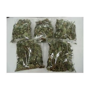 【 無添加 自家製 】乾燥　どくだみ茶 40g×5袋