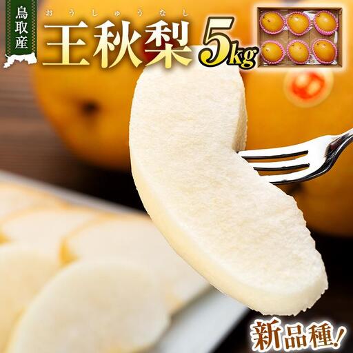 梨 王秋梨 鳥取産 5kg ( 5kg × 1箱 )