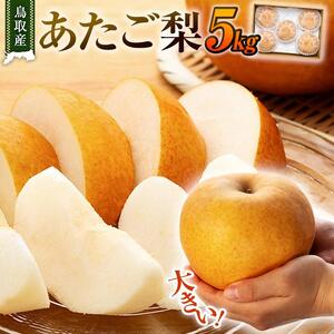 梨 あたご梨 鳥取産 5kg ( 5kg × 1箱 )