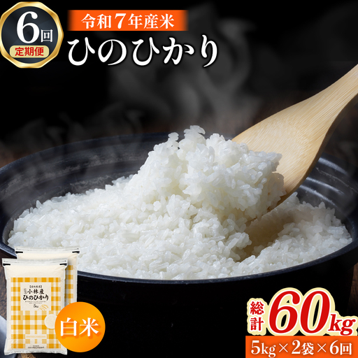 【定期便 全6回】【令和7年産米】ヒノヒカリ 10kg×6回（お米 米 ひのひかり 令和7年産 国産 人気 お弁当 定期便 宮崎県 小林市）