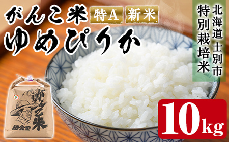 【C7061】＜令和7年産 新米 先行予約！＞田舎塾特別栽培米「がんこ米ゆめぴりか」(10kg) 【2025年10月中旬以降順次発送】 米 お米 白米 北海道産 北海道米 ゆめぴりか 特A 一等級 ごはん おこめ コメ 単一原料米 新米 【田舎塾】