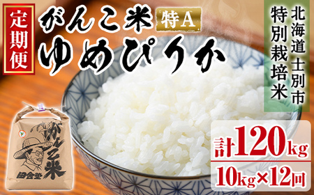 【F7034】＜令和7年産 先行予約！＞《定期便・全12回》田舎塾特別栽培米「がんこ米ゆめぴりか」(10kg×12回・計120kg) 【2025年10月中旬以降順次発送】 米 お米 白米 北海道産 北海道米 ゆめぴりか 特A 一等級 ごはん おこめ コメ 単一原料米 定期便 【田舎塾】
