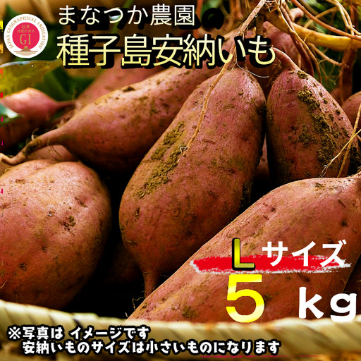 [ 新物 ]種子島 まなつか農園 種子島安納いも ( 生いも ) Lサイズ 5kg NFN487[300pt]