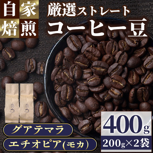 自家焙煎コーヒー豆　厳選ストレート2種400g（グアテマラ200g・エチオピア200g） モカ 珈琲 飲料 ドリンク アウトドア キャンプ おうち時間【BC001】【Backrest Coffee】