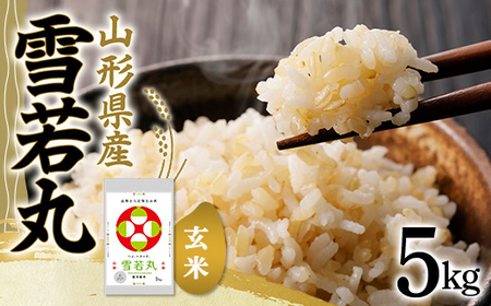 令和5年産 山形県産【雪若丸】玄米 5kg（5kg×1袋） 米 お米 おこめ 山形県 新庄市 F3S-1900