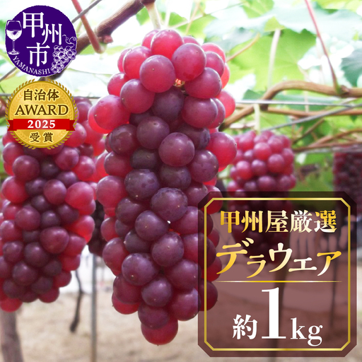 甲州屋厳選 勝沼産デラウエア葡萄 約1kg[2026年発送]B-115 ぶどう フルーツ