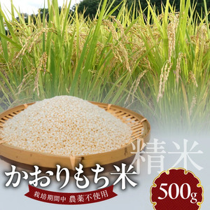 かおりもち米 500g