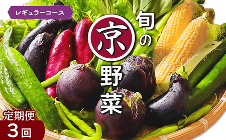 [3回定期便]旬の京野菜セット 野菜