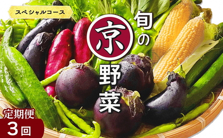 [3回定期便]旬の京野菜セット スペシャルコース 野菜