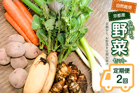 [京都産野菜定期便2回]自然体な野菜セット 旬の野菜 野菜詰合せ 野菜セット 野菜定期便 2回 自然農園 自然栽培 安心 安全 健康 マクロビ ベジタリアン 定期便 京野菜 京都 木津川 086-02-T04