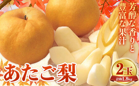 [2027年先行予約]あたご梨 2玉 計約1.8kg 環山堂株式会社 梨