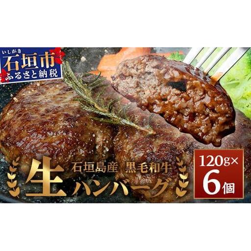 石垣島産 黒毛和牛 生ハンバーグ 120g x 6個 UN-1