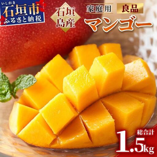 石垣島産 マンゴー (アーウィン種) 約1.5kg (2〜5玉) 家庭用
