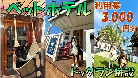 ペットホテル利用券3,000円分[1-392]