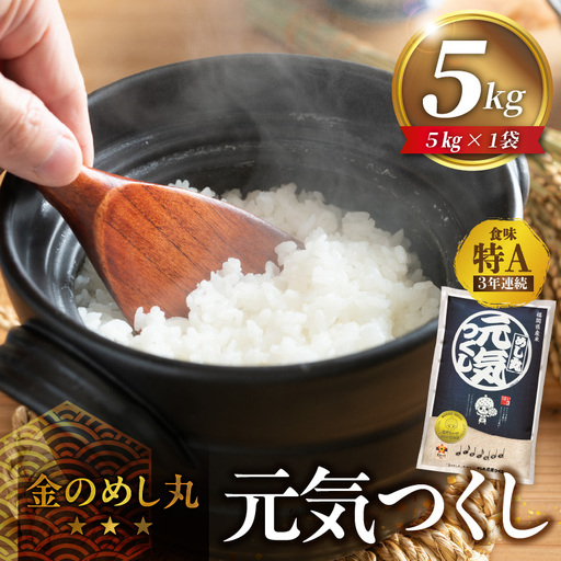 金のめし丸元気つくし 5kg 令和7年産_ 白米 お米 〔Gr045〕