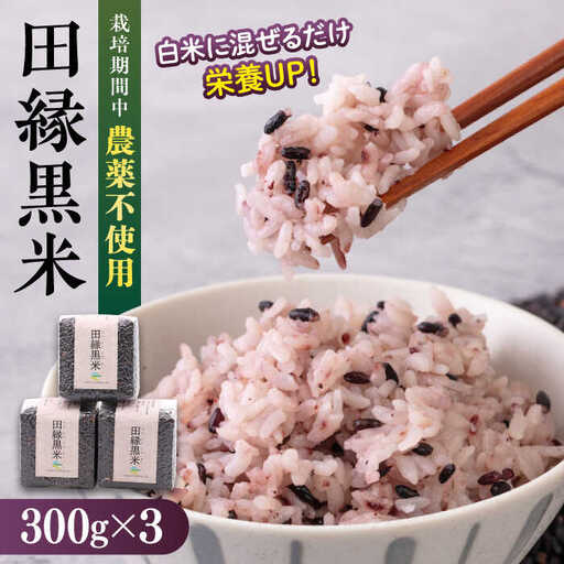 田縁黒米(でんえんくろまい)300g×3パック 糸島市 / NPO法人田縁プロジェクト 古代米 黒米 米 ご飯 