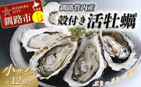 【ぷりっぷりで濃厚！】釧路管内産【活】牡蠣（小）12個 ふるさと納税 牡蠣 F4F-8911