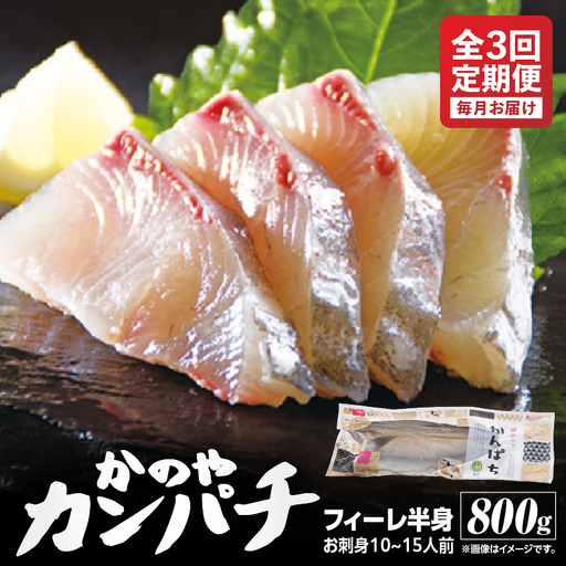 2141 【 全3回定期便 / 毎月お届け 】かのやカンパチ フィーレ半身（ お刺身10～15人前 ）800g KN001-T01 魚 カンパチ