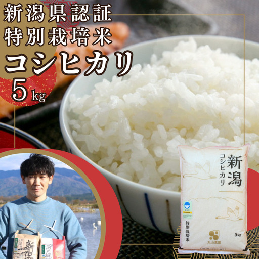 【令和7年産】【新潟県認証米】 5kg 特別栽培米 従来コシヒカリ 阿賀野市産 丸山農園 米 こめ コメ 白米 精米 3F01013