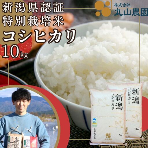【令和8年産新米予約】【新潟県認証米】 10kg (5kg×2袋) 特別栽培米 従来コシヒカリ 阿賀野市産 丸山農園 米 こめ コメ 白米 精米 新米 新米予約 令和8年産 10月上旬より順次発送予定 3F02029