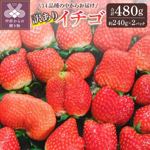[2026-2027発送分]お得 訳ありイチゴ 480g IC-01 訳あり いちご イチゴ 苺 セット ギフト 贈答 採れたて フルーツ 約240g×2パック 冷蔵 山梨 甲府市産