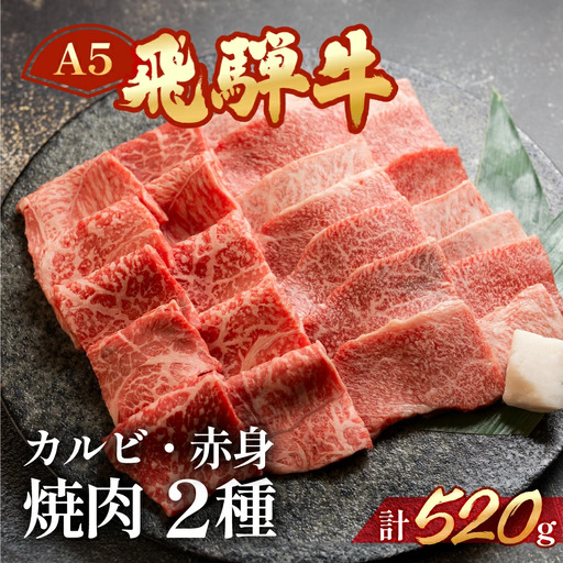 飛騨牛 ミックスカルビ＆もも赤身焼肉 520g（260g×2)【11-1012】