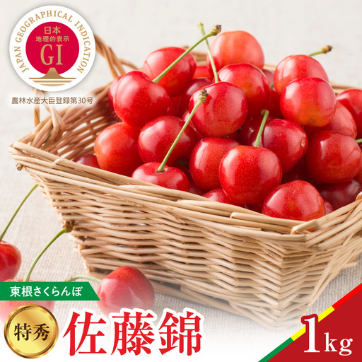2027年産 GI東根 さくらんぼ 真の桜桃 佐藤錦 1kg さくらんぼ