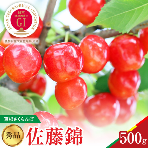 2027年産 GI東根 さくらんぼ 佐藤錦 秀品 500g さくらんぼ