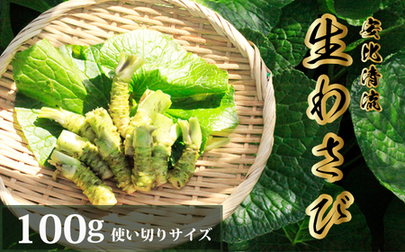 岩手県産 生わさび 使い切りサイズ 100g [安比清流山葵園] / 山葵 ワサビ わさび 薬味 国産 八幡平市産 産地直送 新鮮 調味料 刺身 蕎麦 和え物 漬け物 刻み おろし 辛味 お寿司 そば 肉の薬味 魚の そば おすすめ オススメ