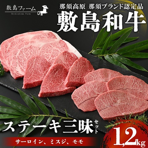 那須高原 敷島和牛 ステーキ三昧セット 計1.2kg 国産 黒毛和牛 和牛 牛肉 お肉 肉 ステーキ サーロインステーキ ギフト お祝い 冷凍 栃木県 那須町《敷島ファーム》〔P-169〕 ※着日指定不可 ※離島への配送不可