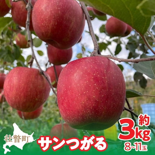 [先行予約]北海道壮瞥町産りんご「サンつがる」約3kg(8〜11玉)[2026年9月下旬よりお届け]