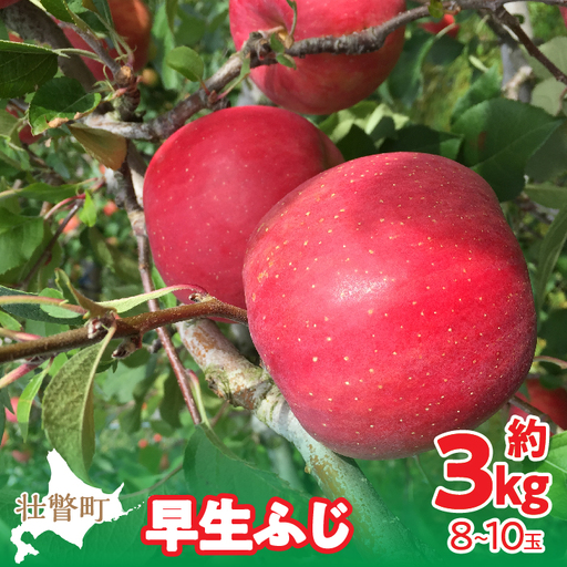 [先行予約]北海道壮瞥町産りんご「早生ふじ」約3kg(8〜10玉)2026年10[月中旬よりお届け]