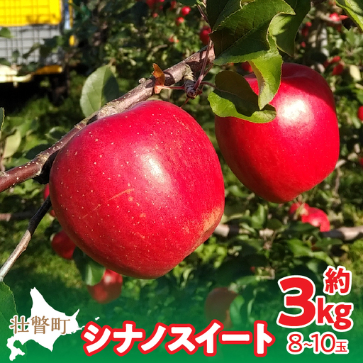 [先行予約]北海道壮瞥町産りんご「シナノスイート」約3kg(8〜10玉)[2026年10月下旬よりお届け]