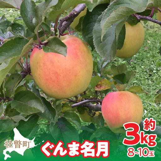 【先行予約】北海道壮瞥町産りんご「ぐんま名月」約3kg(8～10玉)＜2026年11月中旬よりお届け＞ SBTF004