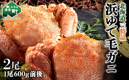 600g前後×2尾 浜ゆで毛蟹 【北海道産三特品】 〈ワイエスフーズ〉 かに カニ 蟹 ガニ がに 森町 ふるさと納税 北海道 毛蟹 毛かに 毛ガニ 毛カニ mr1-0432